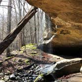 Review photo of Turkey Ridge Campground — Ferne Clyffe State Park by Dani B., July 11, 2018