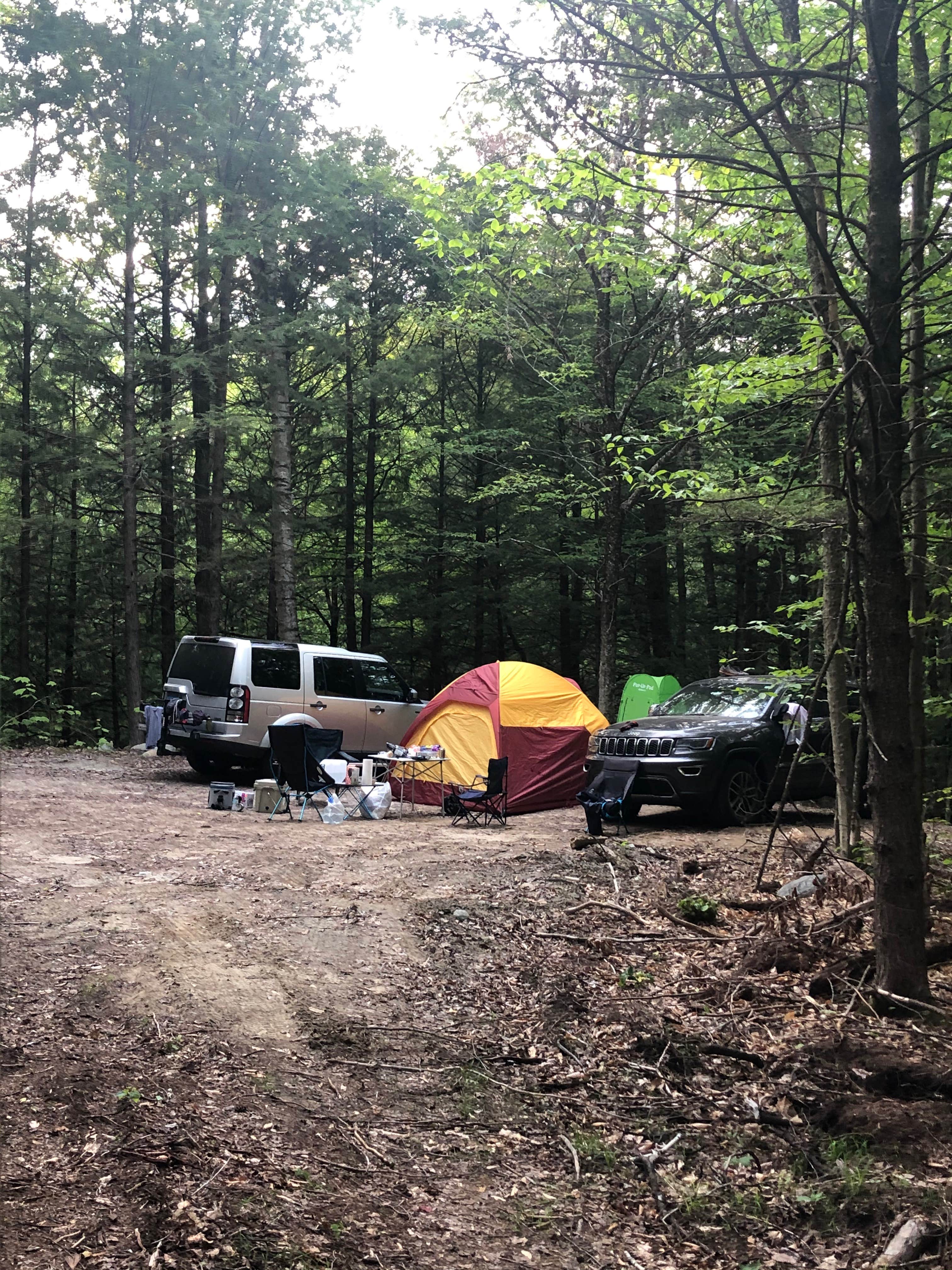 Streeter Mountain F.'s photo at The Hummingbird Center Farm near Grafton, NH