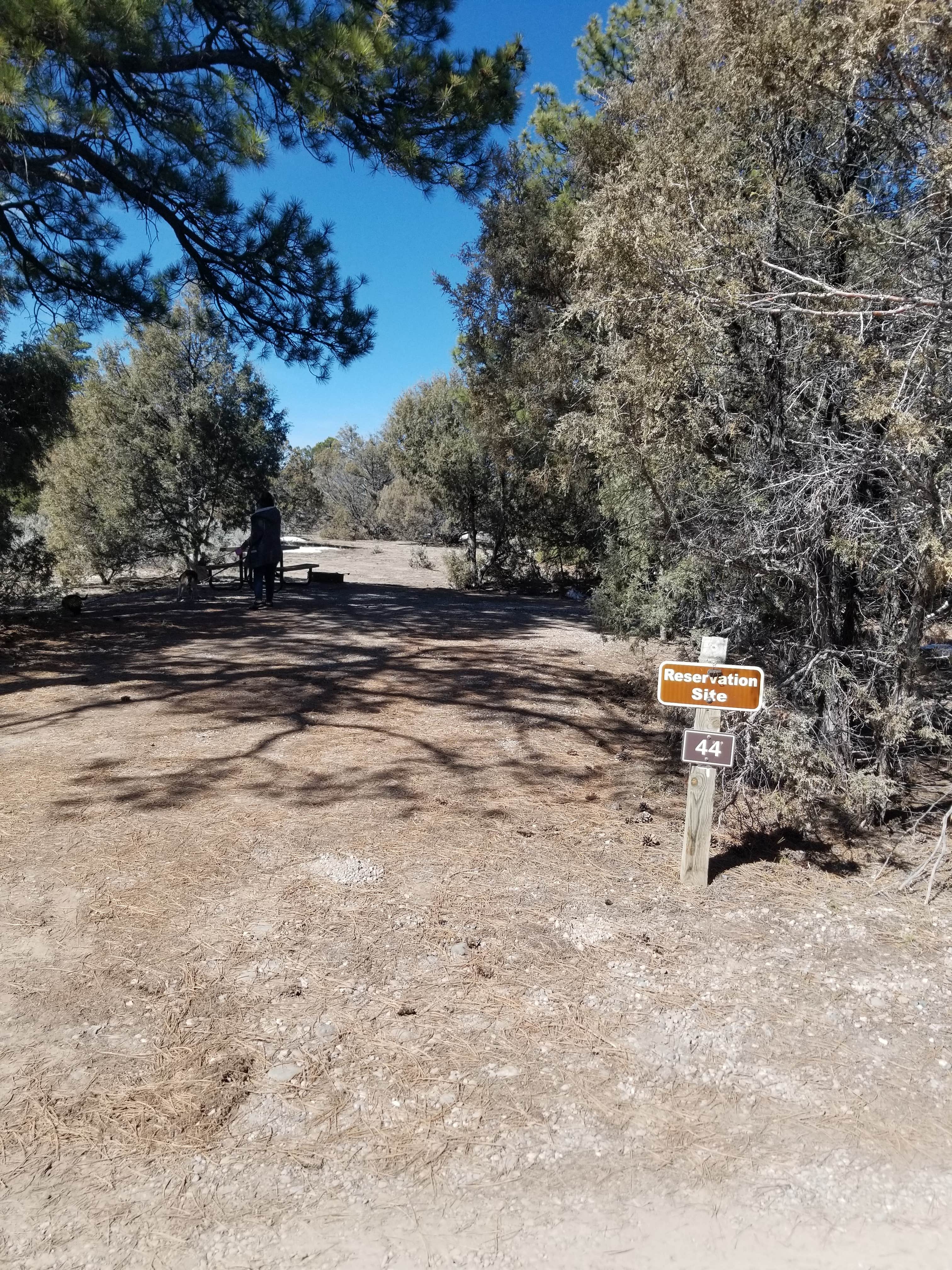 Camper submitted image from Blanco Campground — Heron Lake State Park - 4