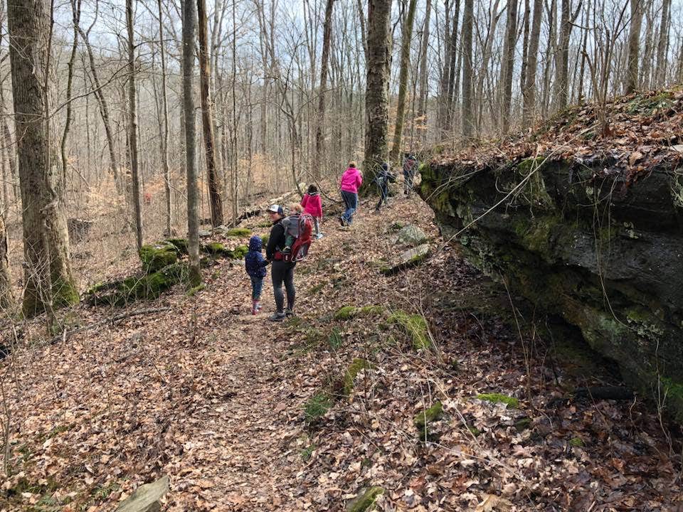 Camper submitted image from Turkey Ridge Campground — Ferne Clyffe State Park - 2