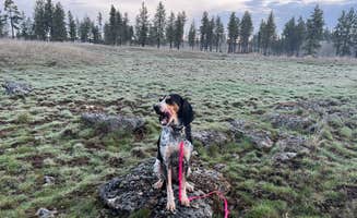 Kayln H.'s photo of camping with pets at Hog Lake Campground near Lamont, WA