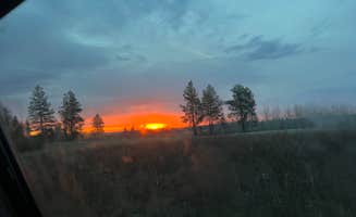 Kayln H.'s photo of a dispersed camping area at Hog Lake Campground near Valleyford, WA