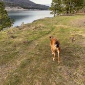 Review photo of Kettle Falls Campground — Lake Roosevelt National Recreation Area by Jack , March 28, 2022