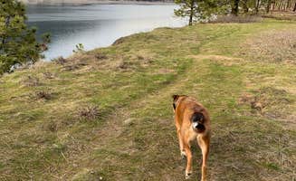 Jack's photo of camping with pets at Kettle Falls Campground — Lake Roosevelt National Recreation Area near Republic, WA