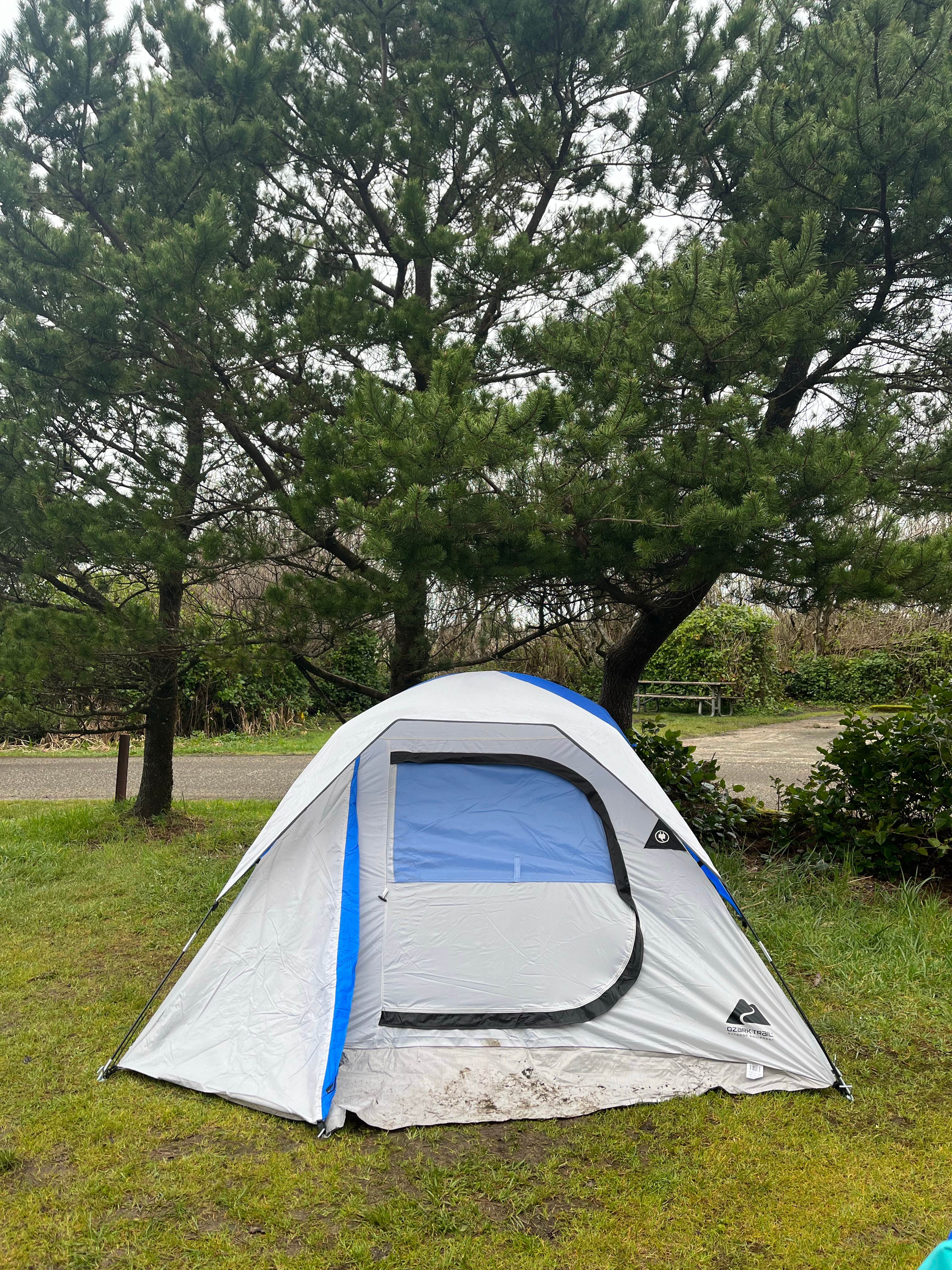 Lauren T.'s photo at Cape Lookout State Park Campground near Beaver, OR