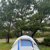 Review photo of Cape Lookout State Park Campground by Lauren T., March 28, 2022