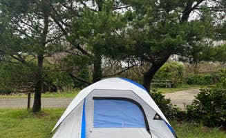 Lauren T.'s photo at Cape Lookout State Park Campground near Oceanside, OR