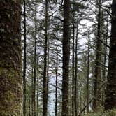 Review photo of Cape Lookout State Park Campground by Lauren T., March 28, 2022