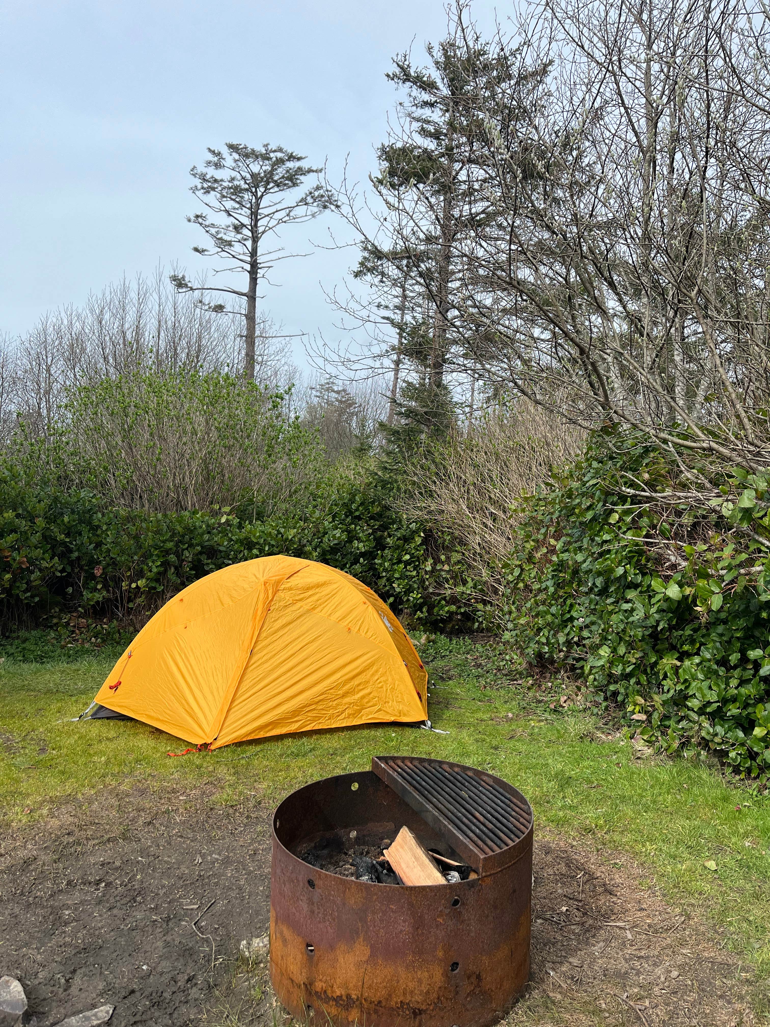 Lauren T.'s photo at Cape Lookout State Park Campground near Pacific City, OR