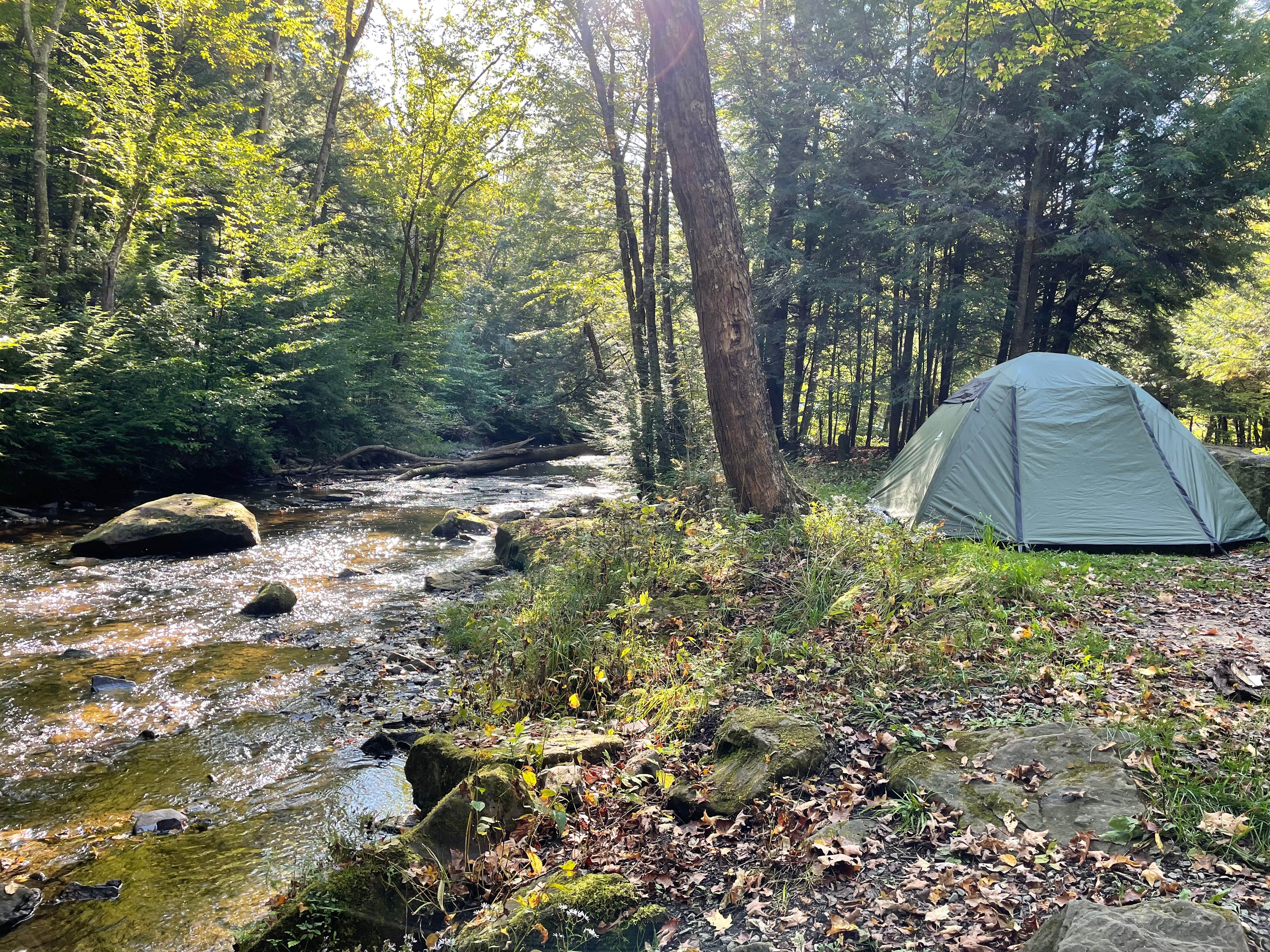 Shelby P.'s photo at Minister Creek Campground near Allegheny National Forest