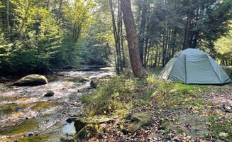 Shelby P.'s photo at Minister Creek Campground near Allegheny National Forest