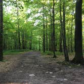 Review photo of Ogechie Campground — Mille Lacs Kathio State Park by Jen H., July 11, 2018