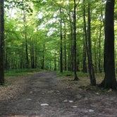 Review photo of Mille Lacs Kathio Petaga Campground — Mille Lacs Kathio State Park by Jen H., July 11, 2018