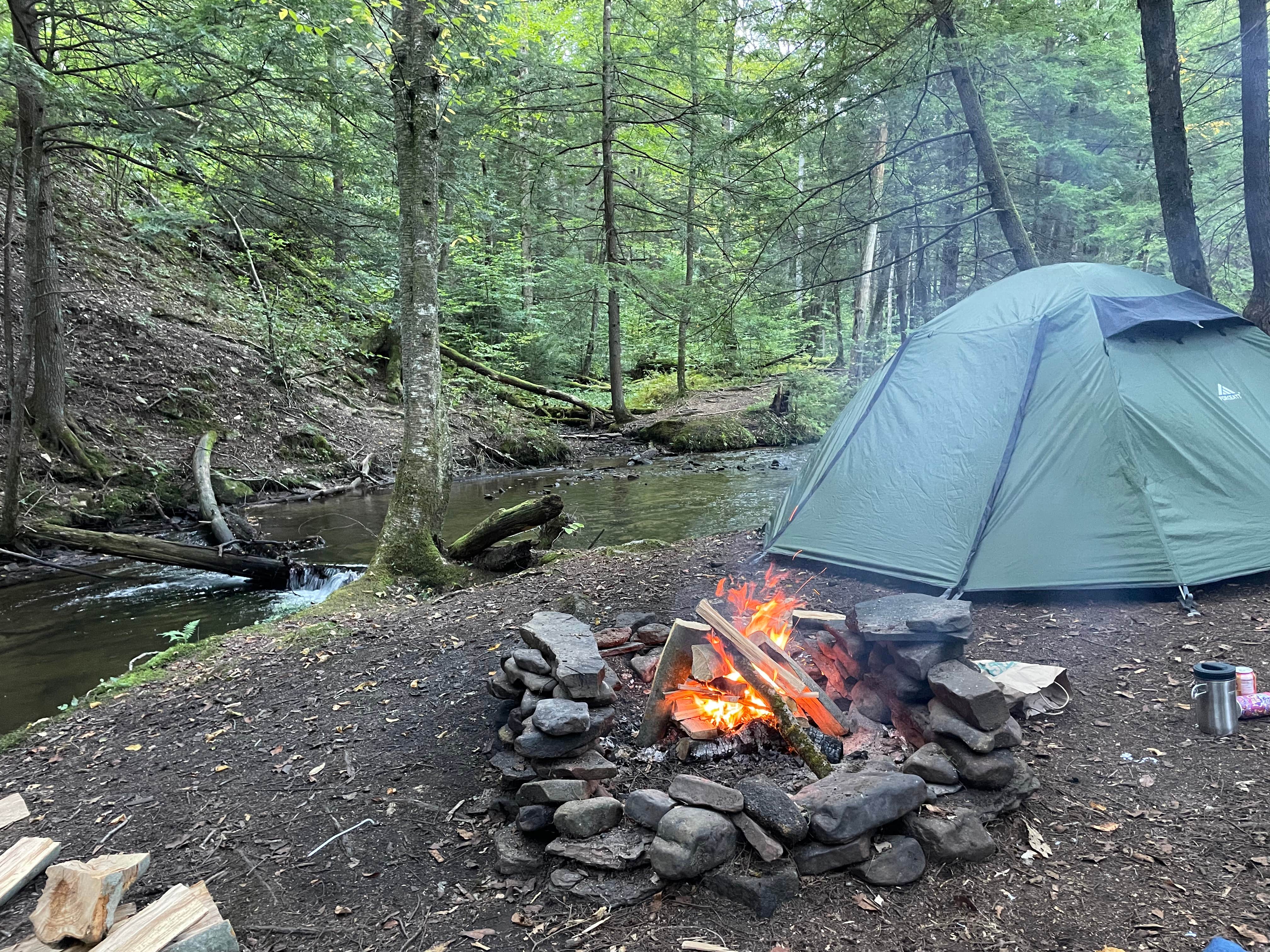 Shelby P.'s photo at Minister Creek Campground near Sheffield, PA