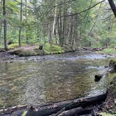 Review photo of Minister Creek Campground by Shelby P., March 28, 2022