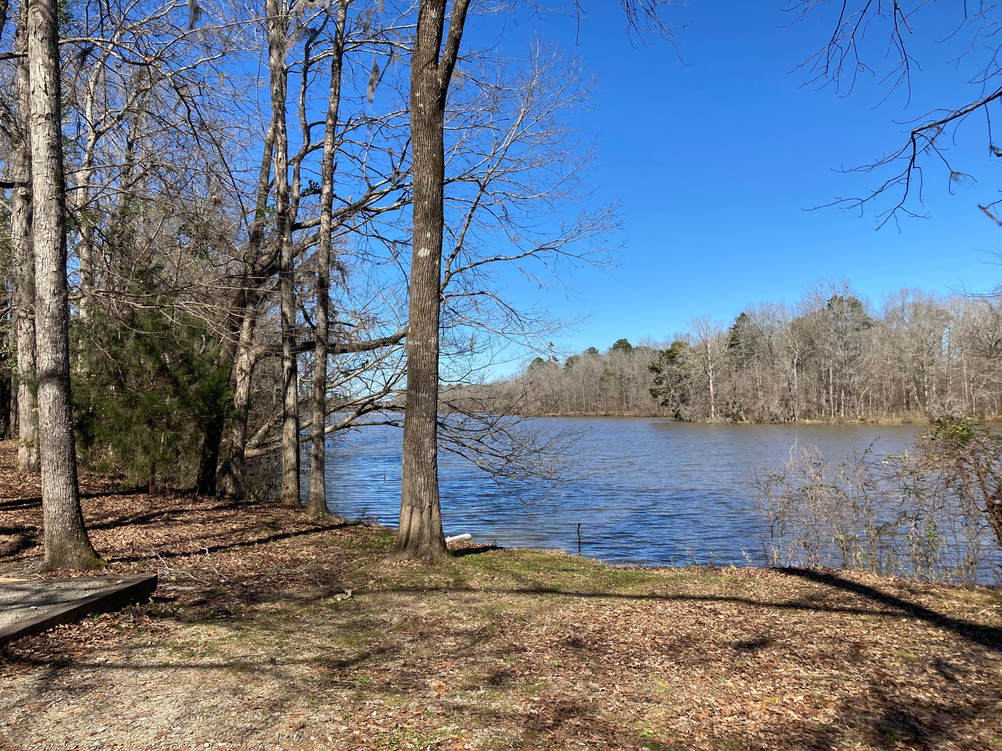 Camper submitted image from Prairie Creek Campground - 3