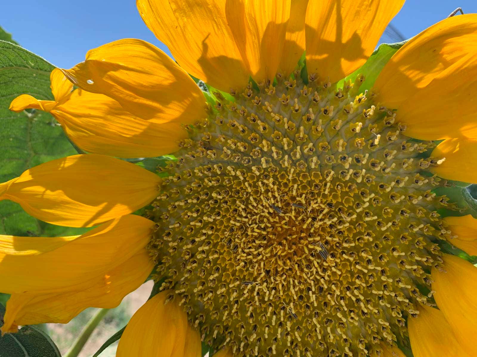 Camper-submitted photo at Whimsy Rock Homestead near Ephrata, WA
