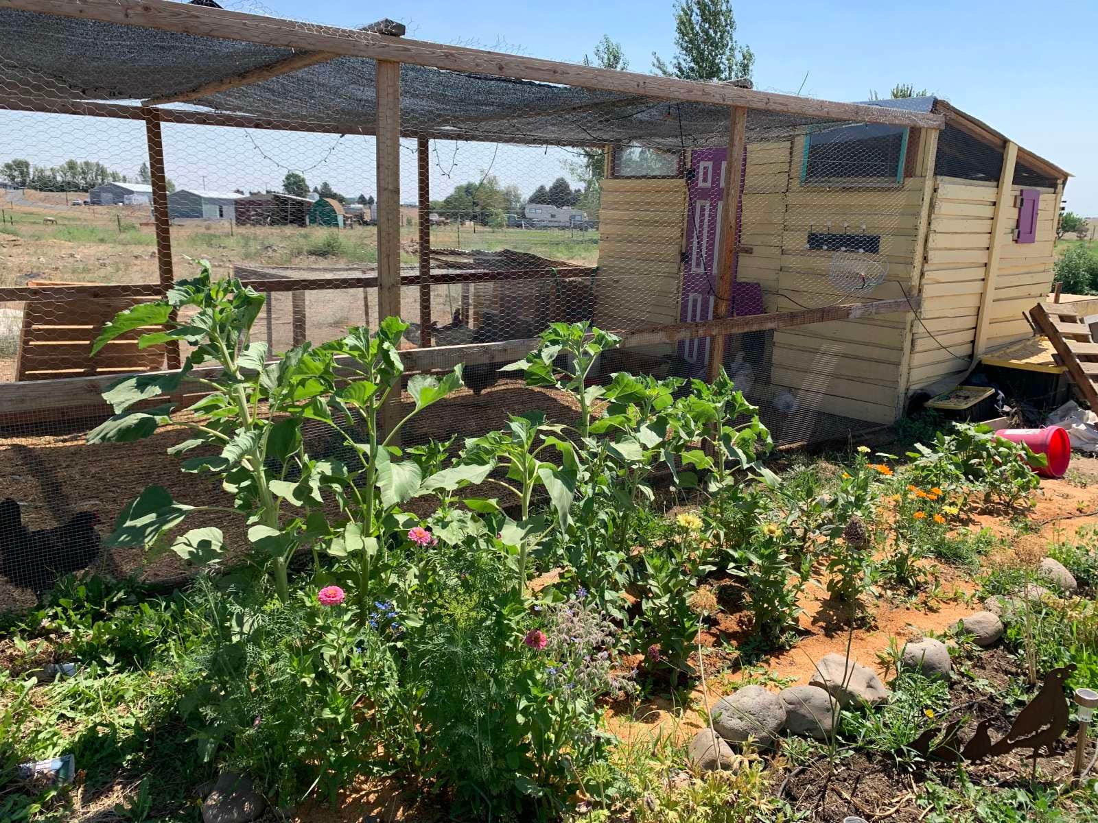 Camper-submitted photo at Whimsy Rock Homestead near Ephrata, WA