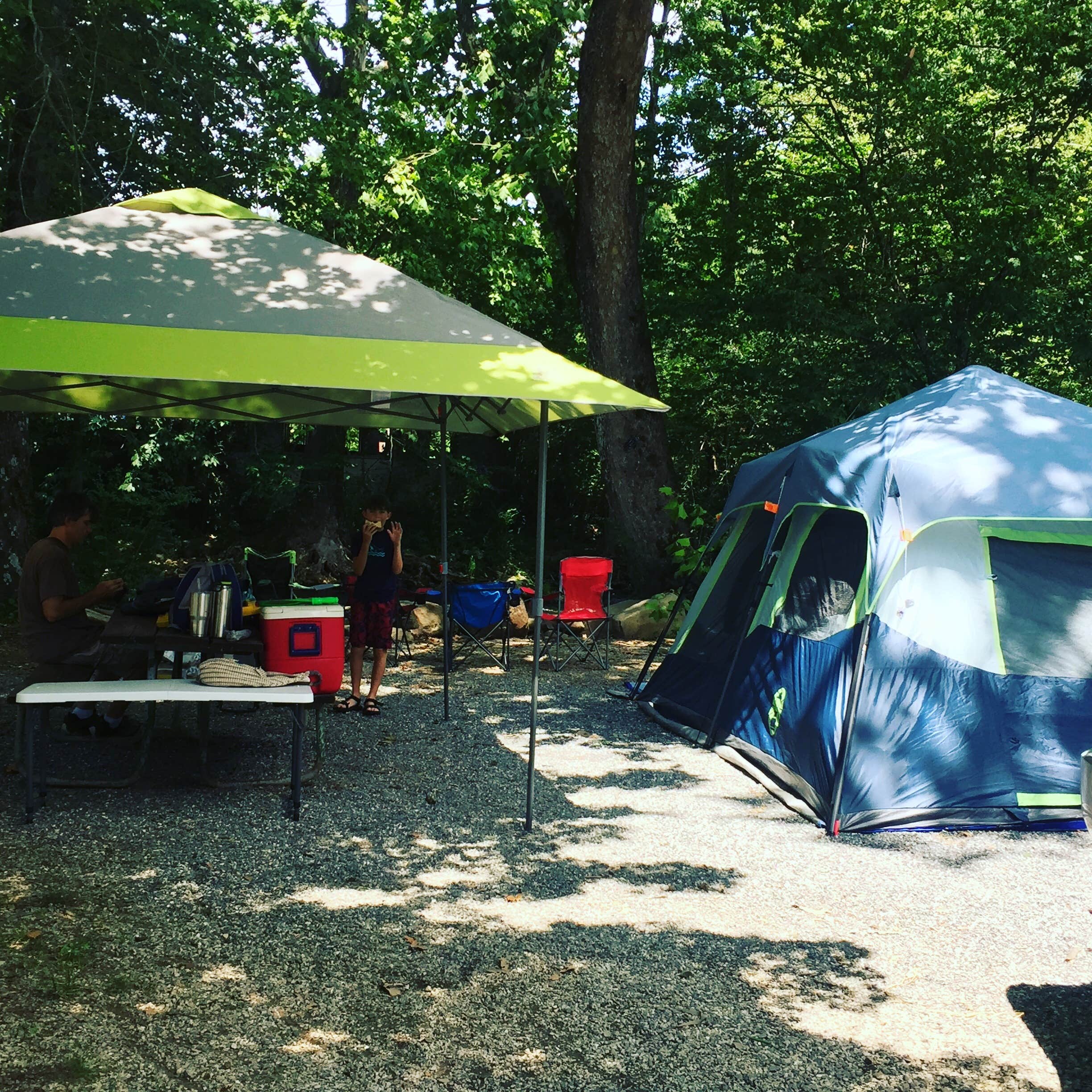 Camper submitted image from Deep Creek Campground — Great Smoky Mountains National Park - 4