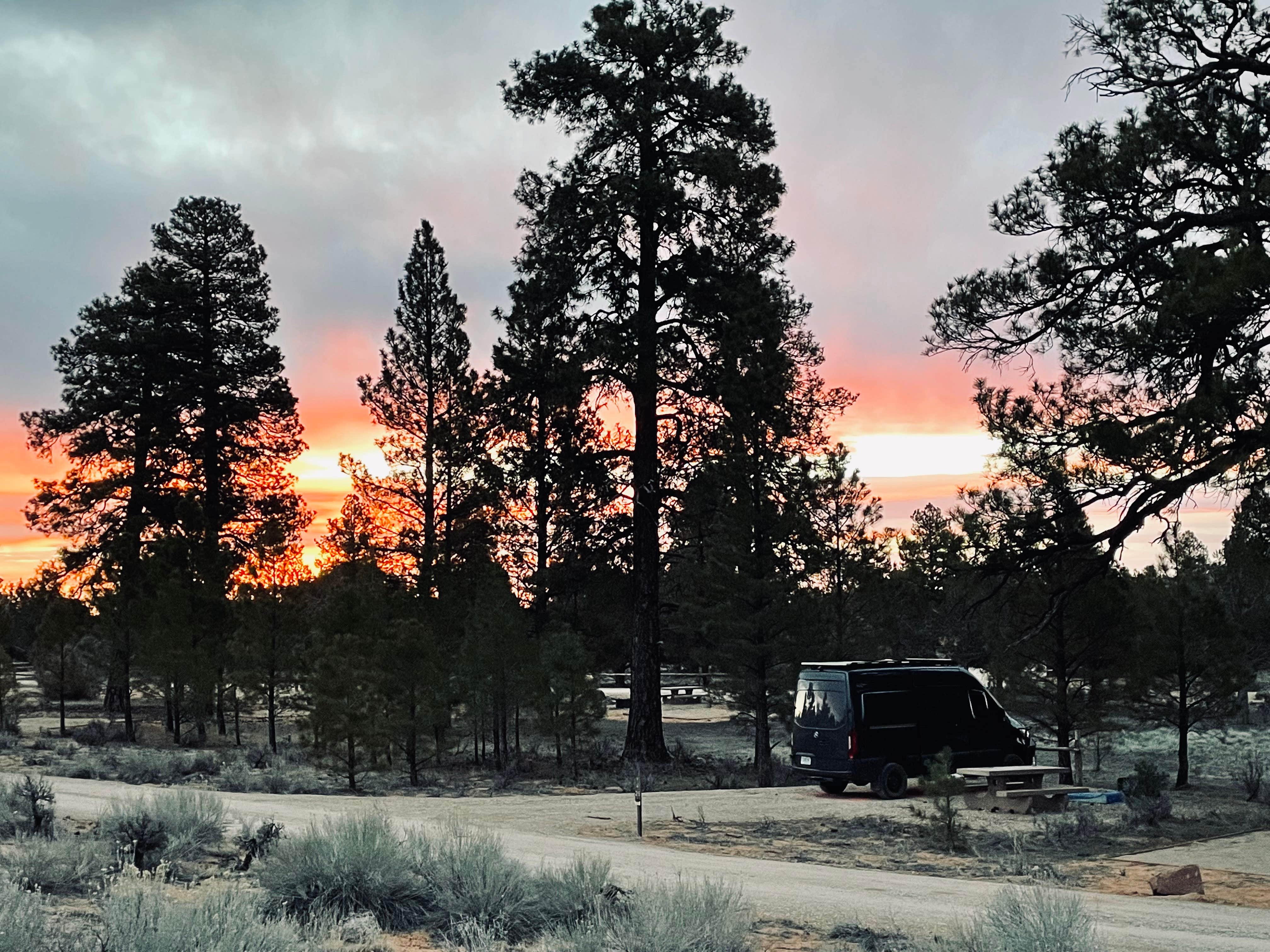 Camper-submitted photo at Ponderosa Grove Campground near Kanab, UT