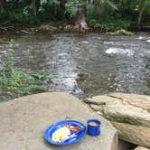 Review photo of Deep Creek Campground — Great Smoky Mountains National Park by Chandra R., July 11, 2018