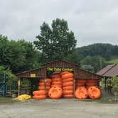 Review photo of Deep Creek Campground — Great Smoky Mountains National Park by Chandra R., July 11, 2018