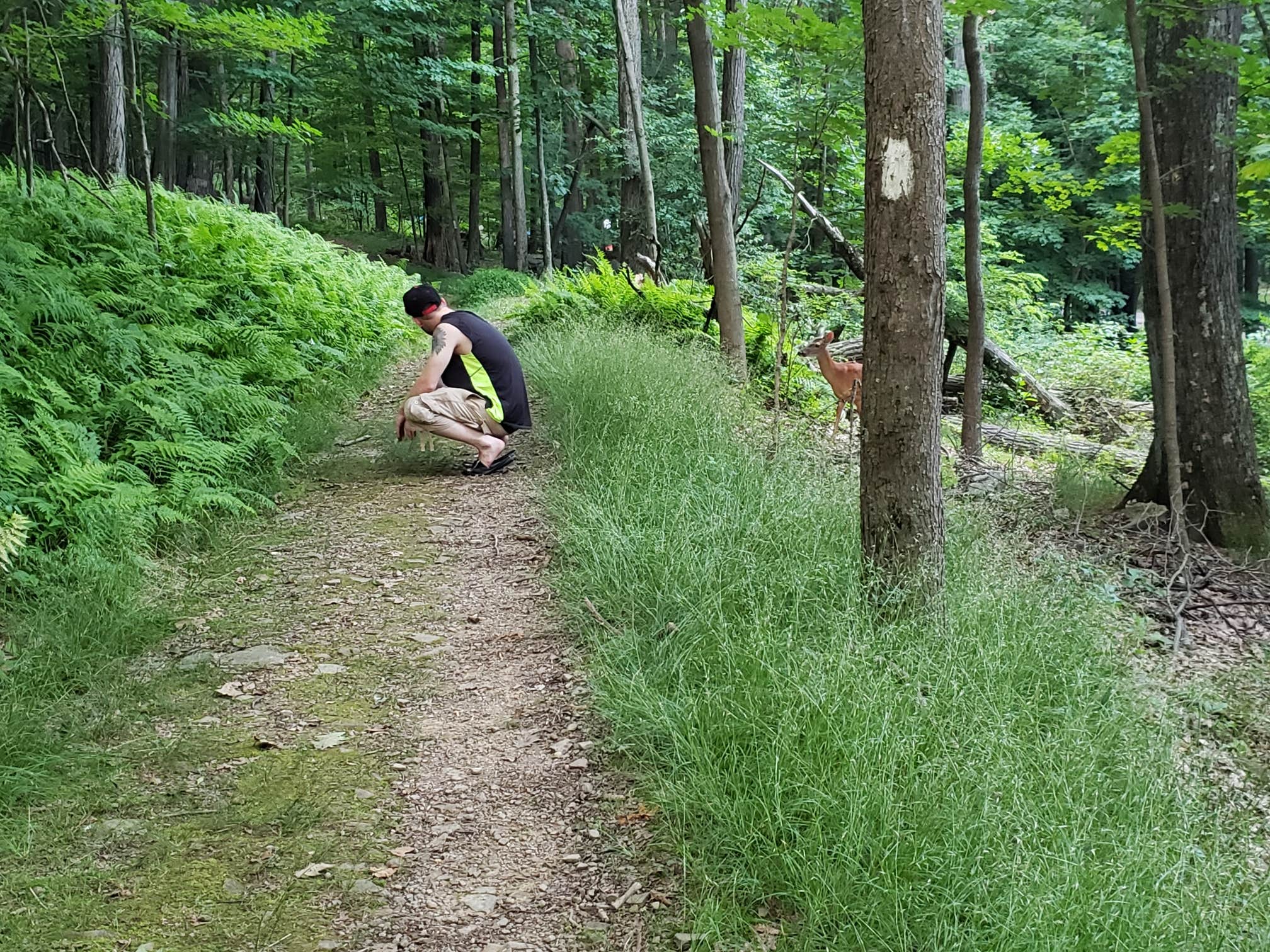 Camper-submitted photo at Deep Creek Lake State Park Campground near Grantsville, MD