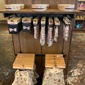 Review photo of Disney’s Fort Wilderness Resort & Campground by Robert V., March 29, 2022