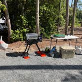 Review photo of Disney’s Fort Wilderness Resort & Campground by Robert V., March 29, 2022