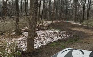 steven B.'s photo of camping with pets at East Fork State Park Campground near Manchester, OH