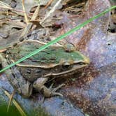 Review photo of Paddy Creek Recreation Area by Brooke A., March 29, 2022