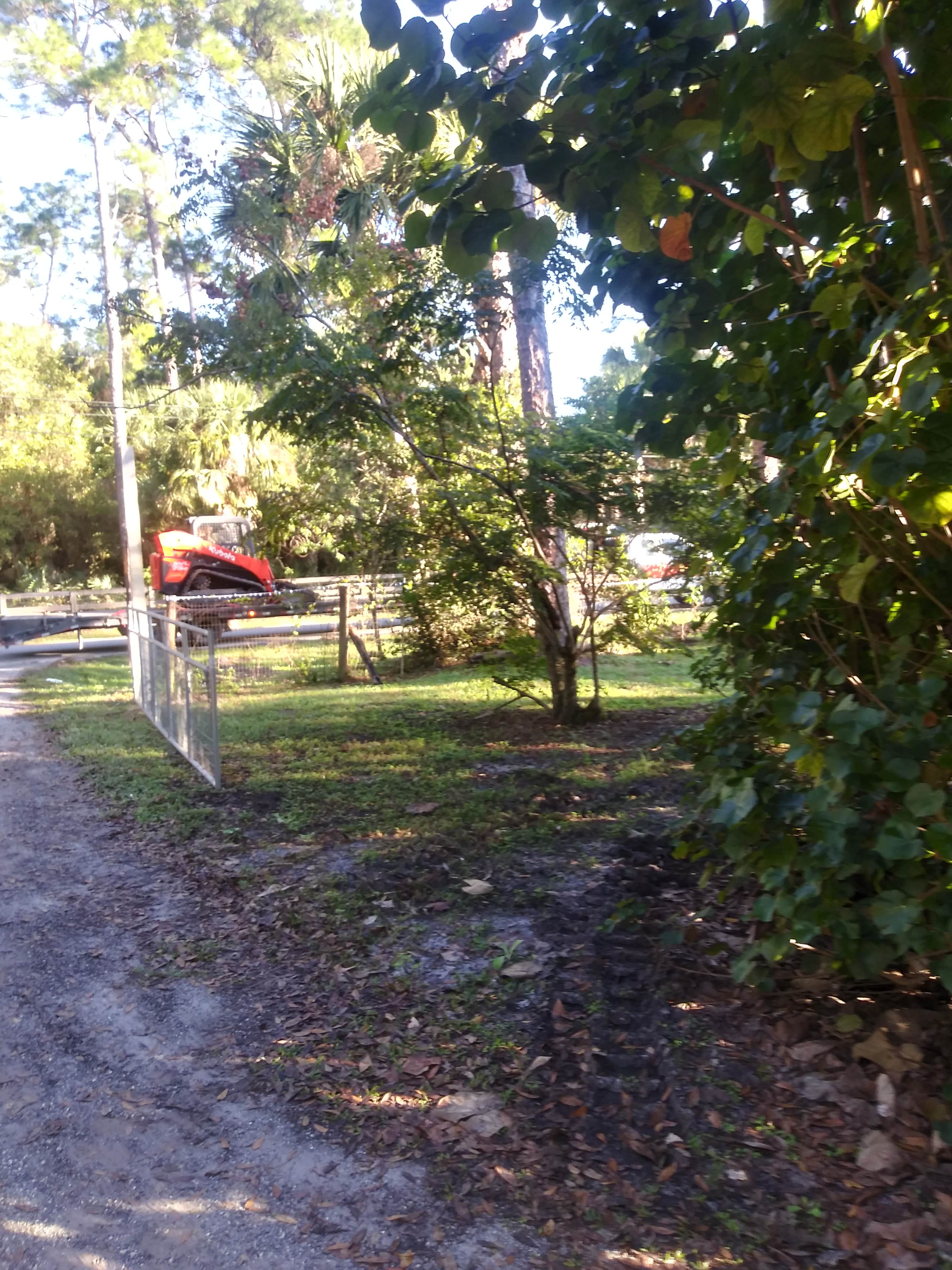 Camper submitted image from Jupiter Farms Nursery Quail Trail in The Bird Roads - 2