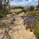 Review photo of Oceano County Campground — Pismo State Beach by Edy K., March 29, 2022