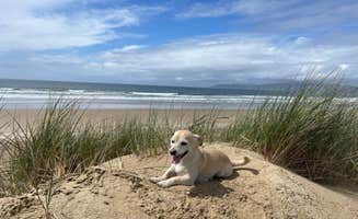 Edy K.'s photo of camping with pets at Oceano Campground — Pismo State Beach near Santa Maria, CA