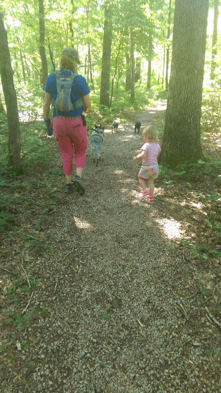 Camper submitted image from Powder Mill Backcountry Camping — Ozark National Scenic Riverway - 3