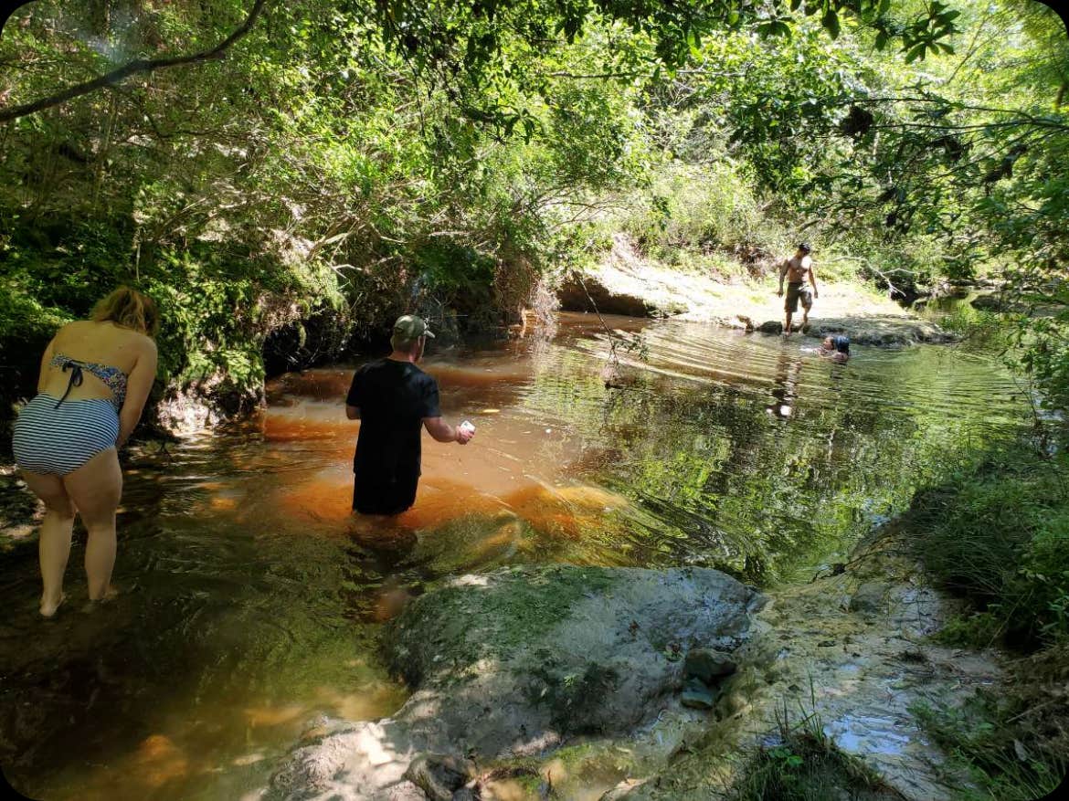 Camper-submitted photo at Creekside Farm Co. near Picayune, MS