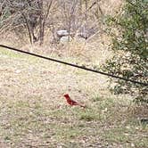 Review photo of Pedernales Falls State Park Campground by Aidan M., March 22, 2022