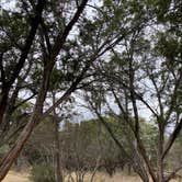 Review photo of Pedernales Falls State Park Campground by Aidan M., March 22, 2022