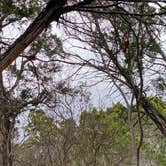 Review photo of Pedernales Falls State Park Campground by Aidan M., March 22, 2022