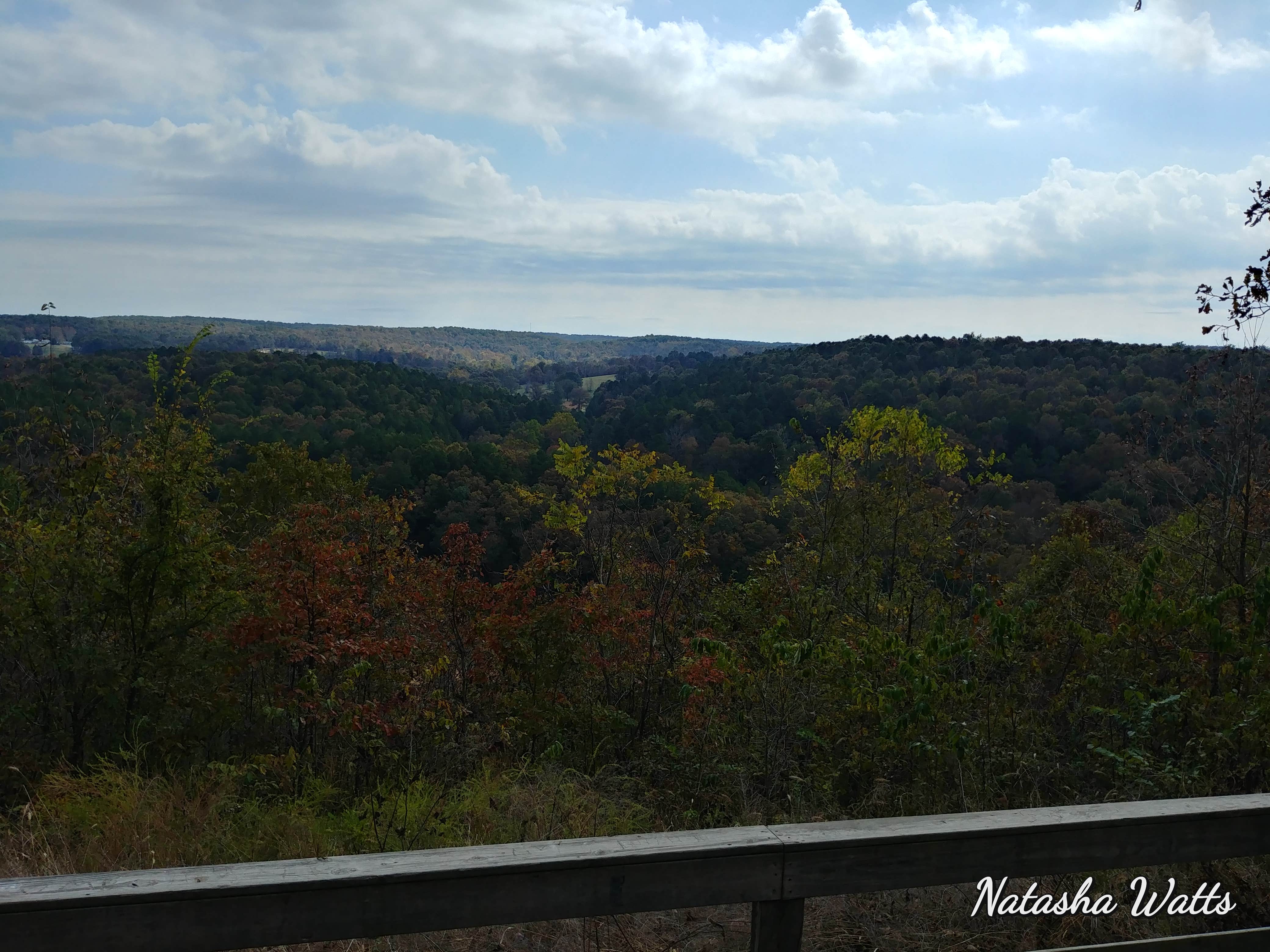 Camper submitted image from Cloud 9 Ranch - 3