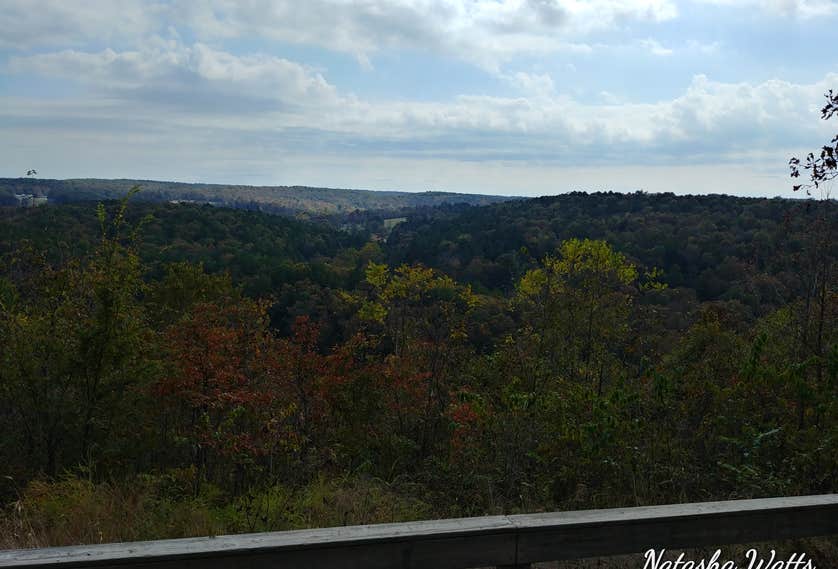 Cloud 9 Ranch Camping | Pottersville, Missouri