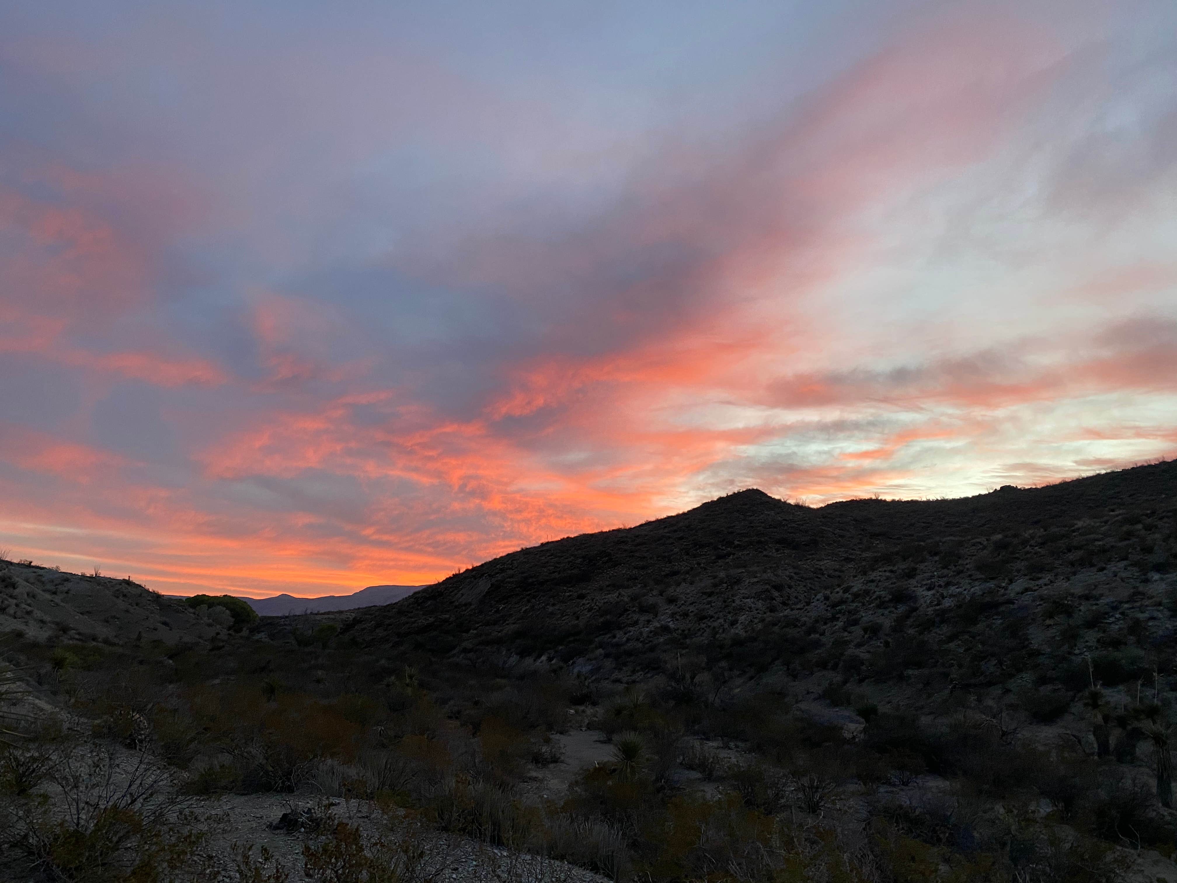 Camper submitted image from McKinney Spring Primitive Site — Big Bend National Park - 2