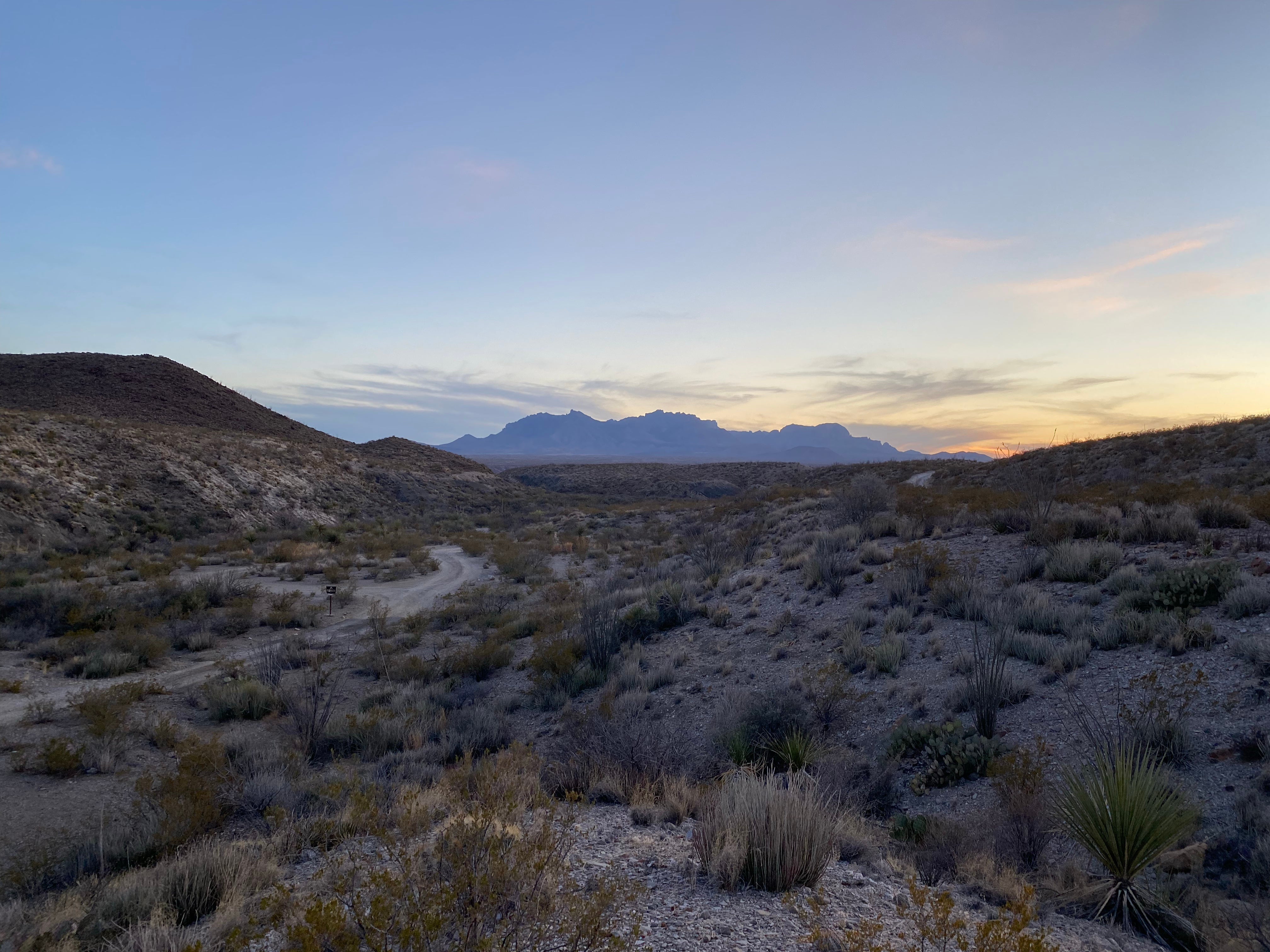 Camper submitted image from McKinney Spring Primitive Site — Big Bend National Park - 1