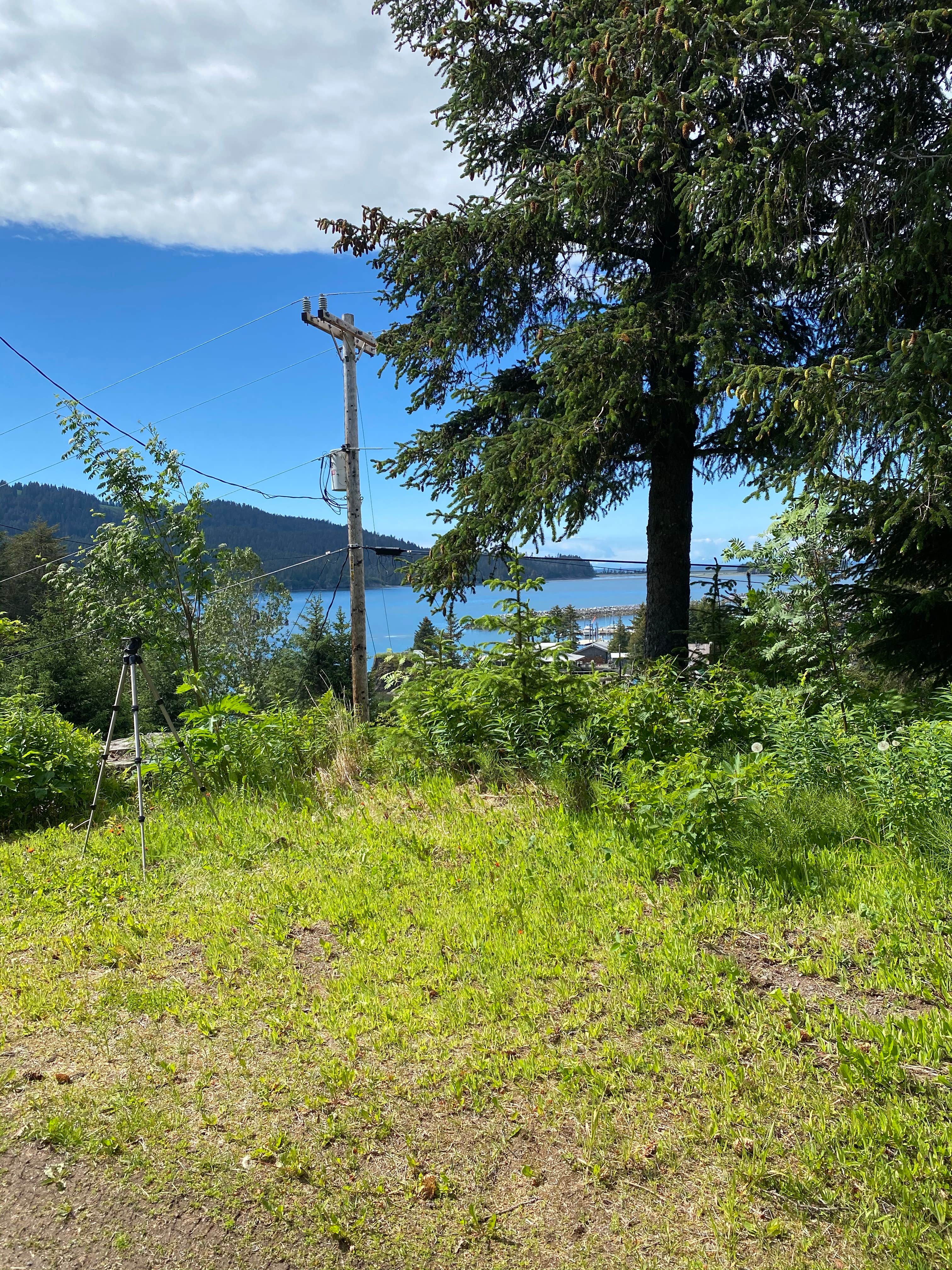 Camper-submitted photo at Glamping Adventures in Alaska near Halibut Cove, AK