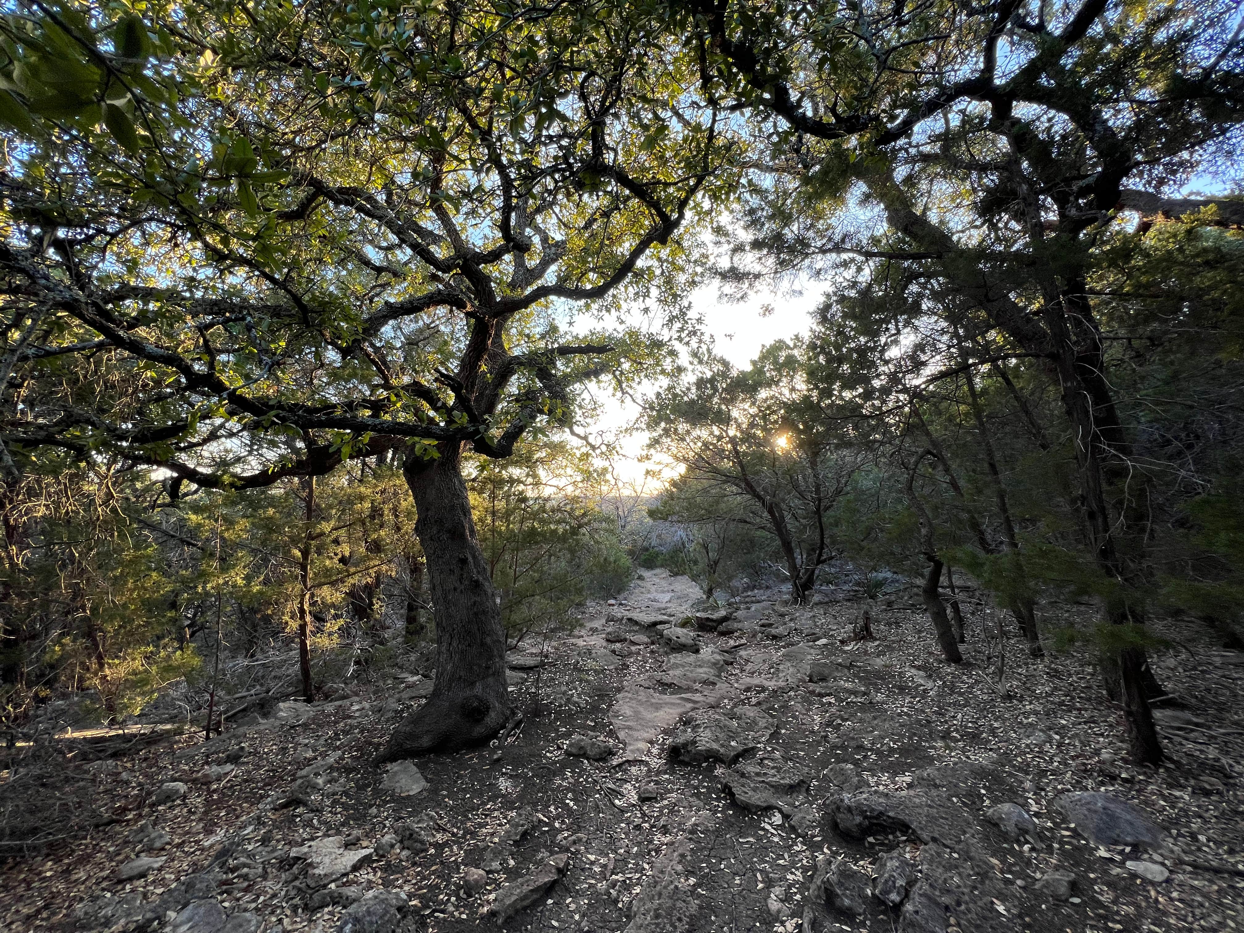 Camper-submitted photo at Russell Park near Georgetown Lake