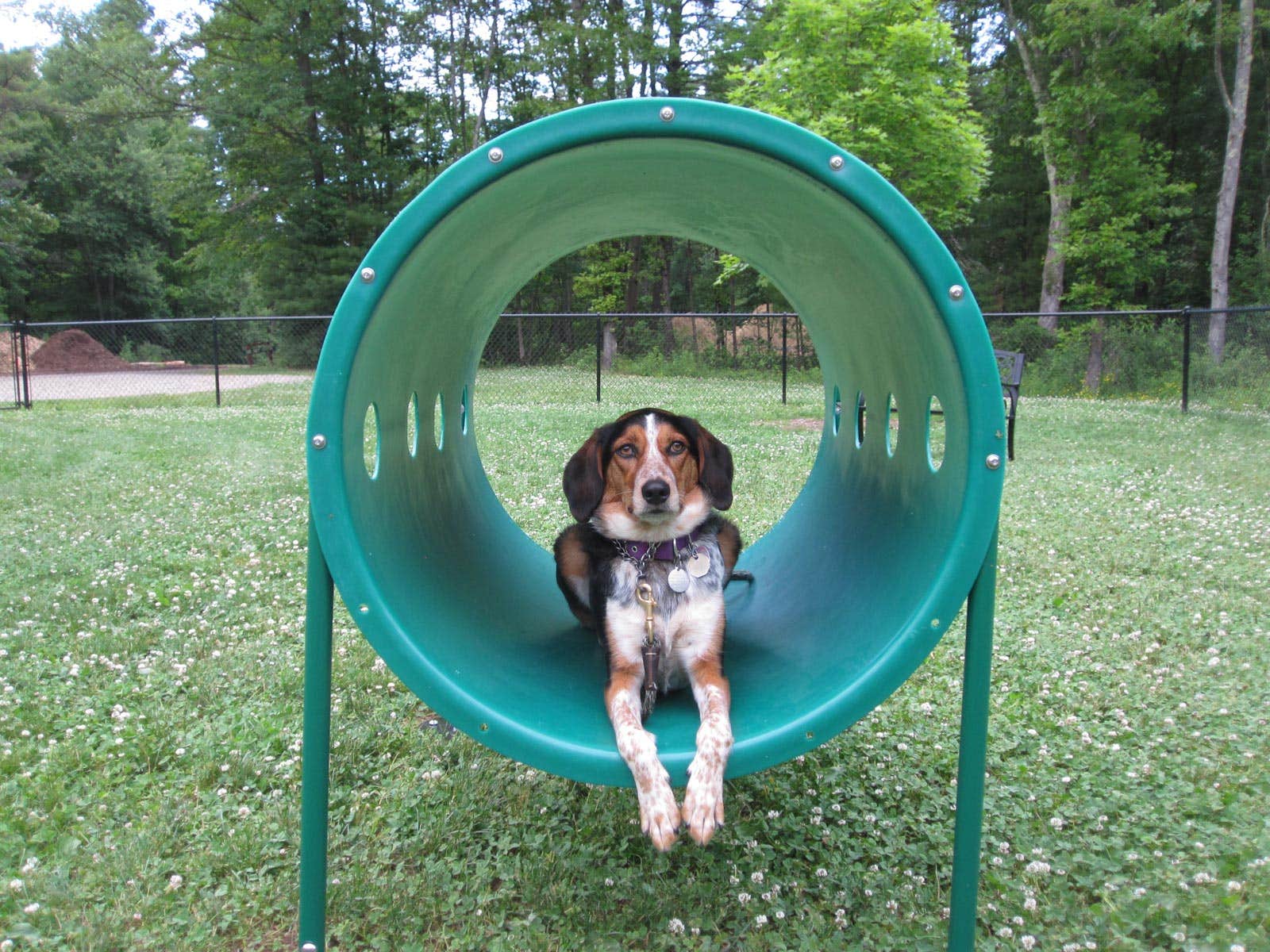 Camper-submitted photo at Wakeda Campground, LLC near York Beach, ME