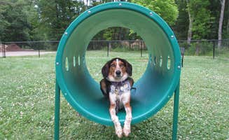 Laura's photo of camping with pets at Wakeda Campground, LLC near York Beach, ME