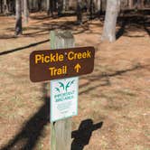 Review photo of Hawn State Park Campground by Dani B., July 11, 2018