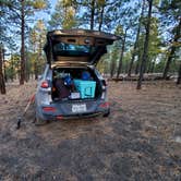 Review photo of Dispersed Camping around Sunset Crater Volcano NM by Anahi B., March 29, 2022