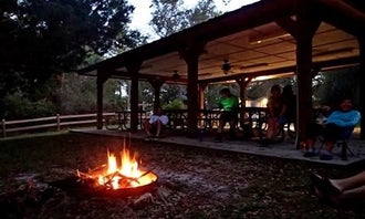 Camping near Peacock Slough River Camp — Suwannee River State Park: Adams Tract, O'brien, Florida